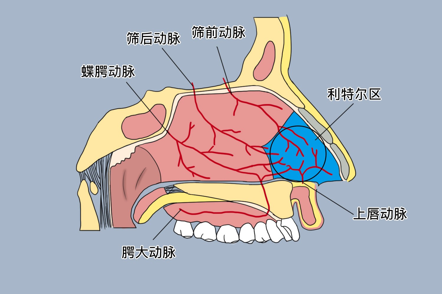 20260902-092757.jpg